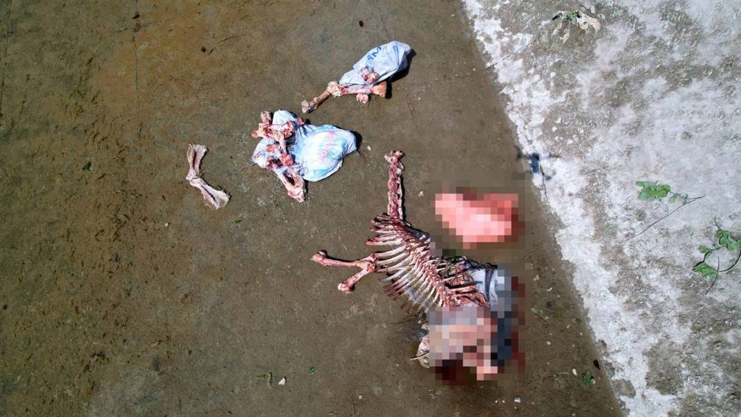 Derisini yüzüp sulama kanalına attılar! O kentte dehşete düşüren görüntüler 10